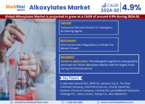 Read more about the article Alkoxylates Market Analysis 2024-30 | Industry Size, Current Scenario and Future Prospects