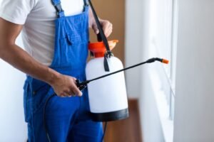 Read more about the article Effective Pest Control Hamilton Ontario